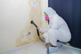 Best Post-Construction Mold Inspection  in Lonaconing, MD